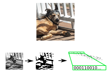 A dog sunbathing on a deck, next to the 'average hash' of that image
