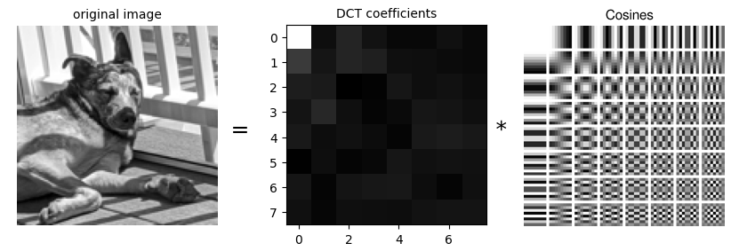 The image, components, and coefficients of the DCT
